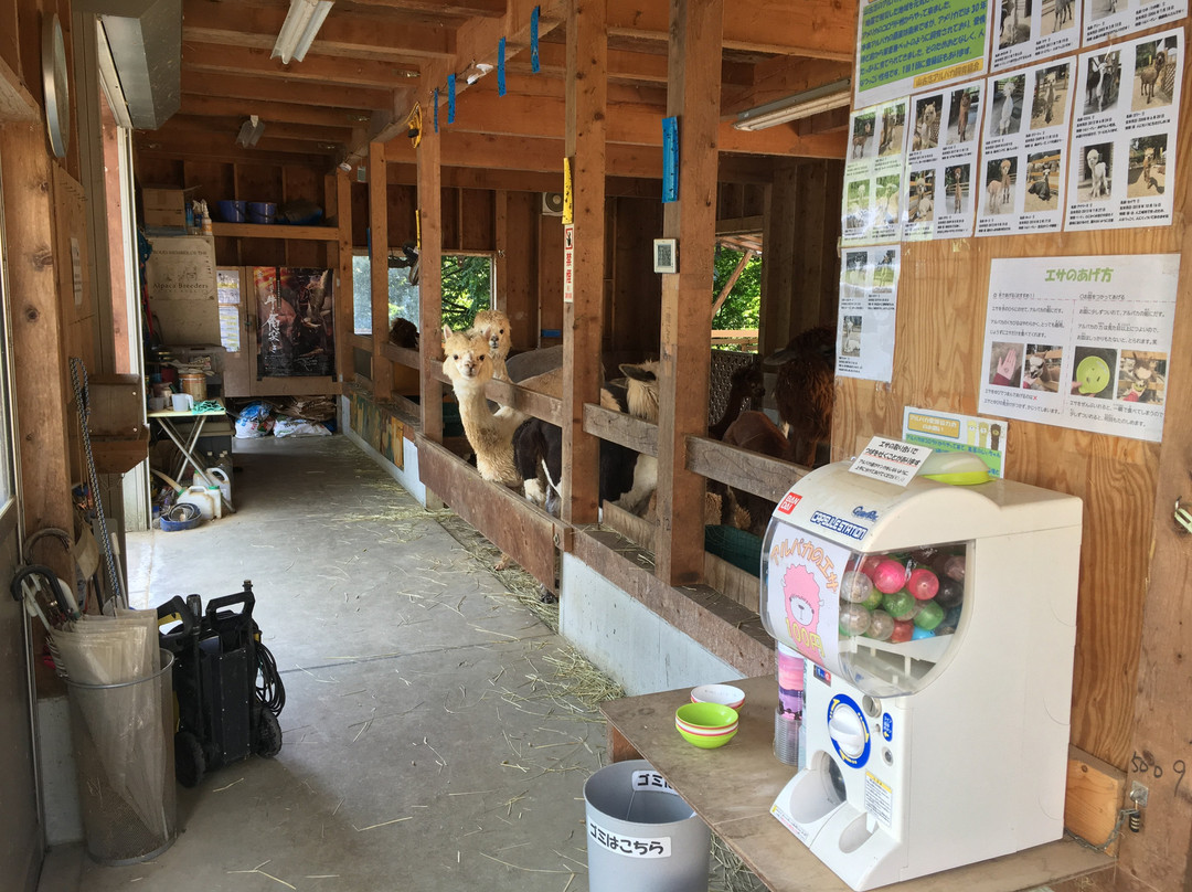 Yamakoshi Alpaca Farm-长冈市必去景点