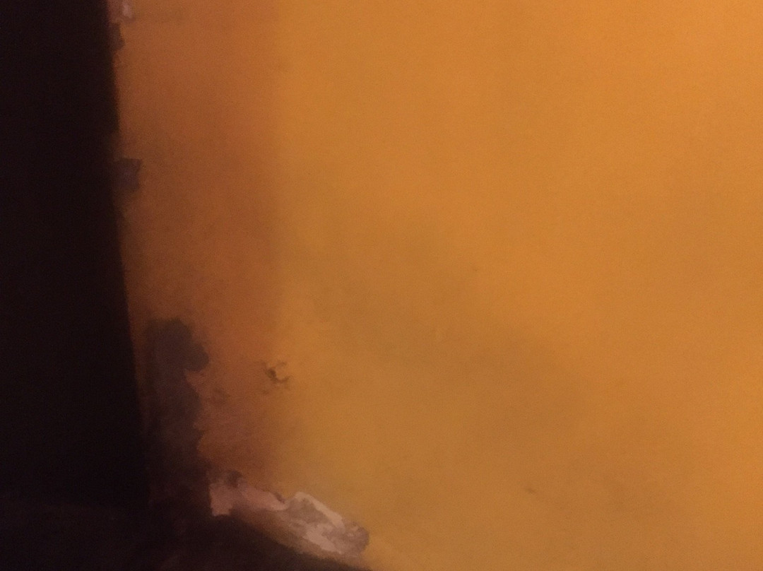 Rougail Mangue主图