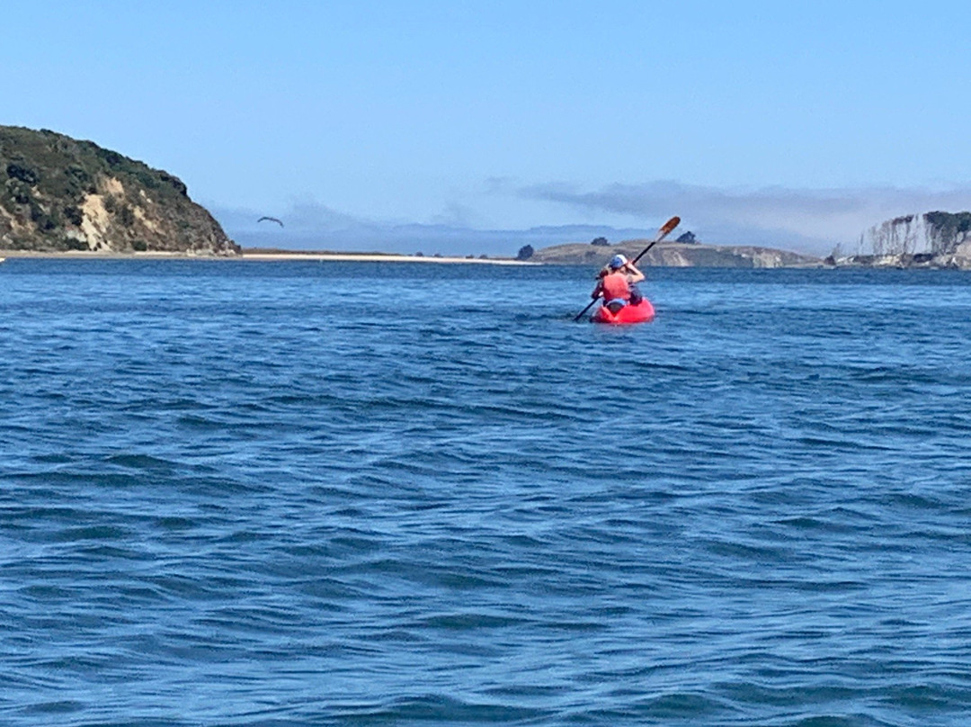 Point Reyes Outdoors-Point Reyes Station必去景点