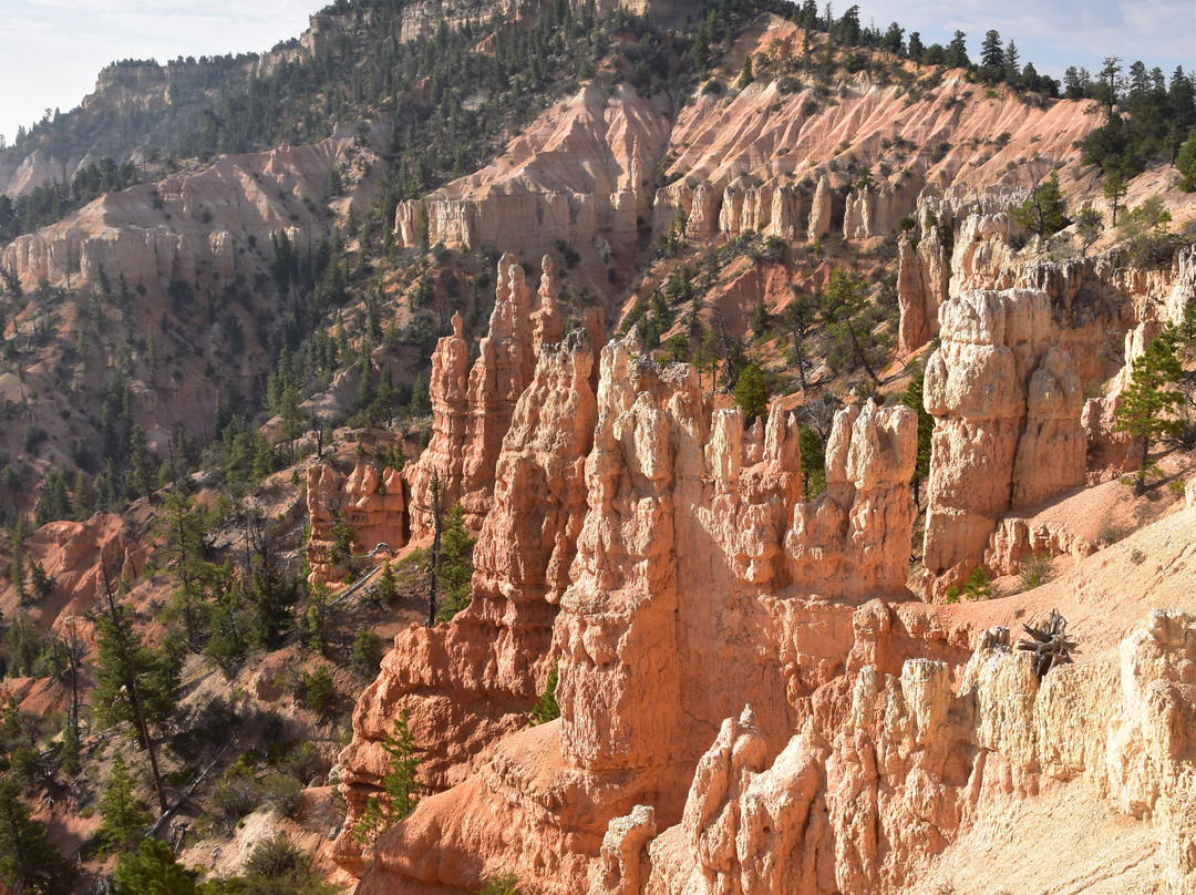 Fairyland Point-布莱斯峡谷国家公园必去景点