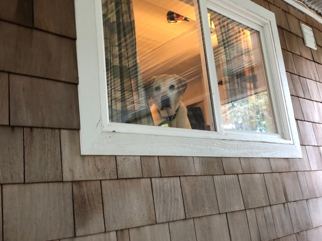 Salmonberry Inn & Beach House主图