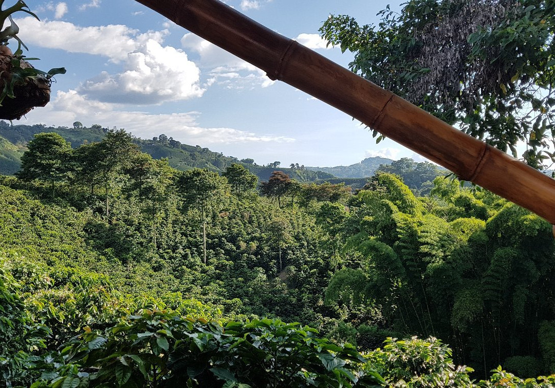 Hacienda La Gaviota-Chinchina必去景点