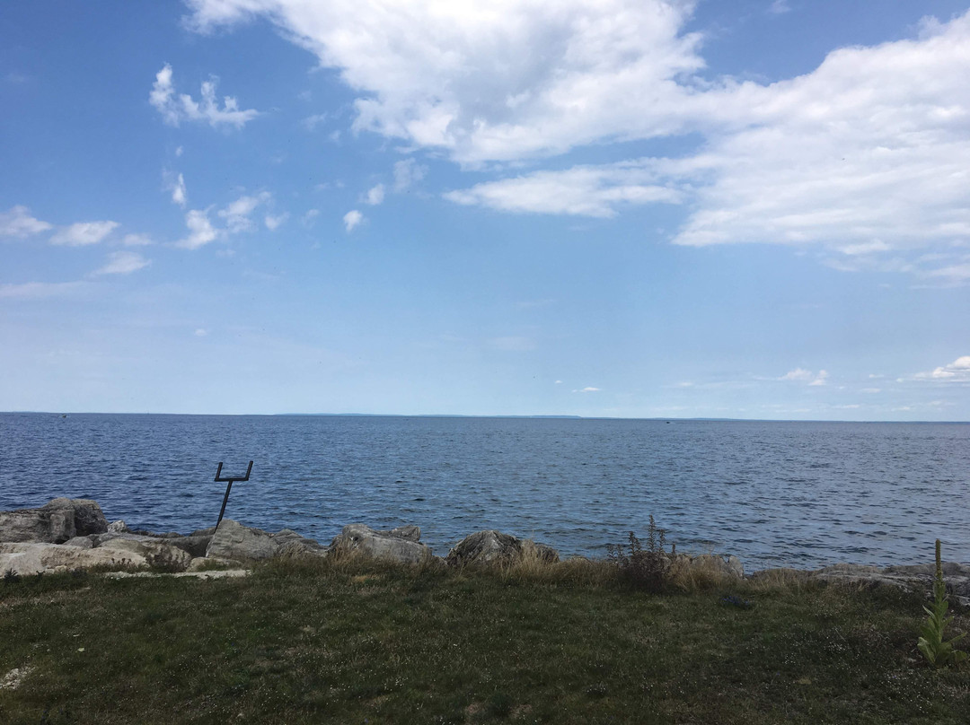 Millennium Park-科林伍德必去景点