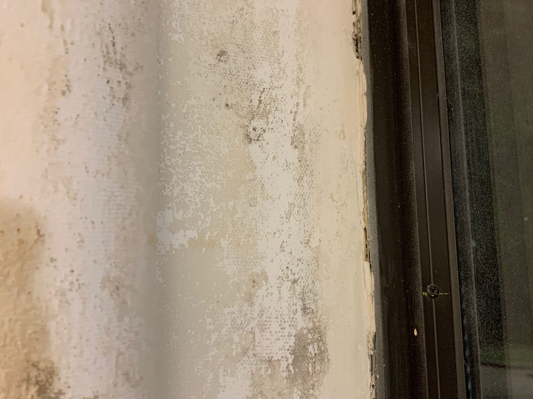 谢尔曼希尔顿恒庭酒店主图