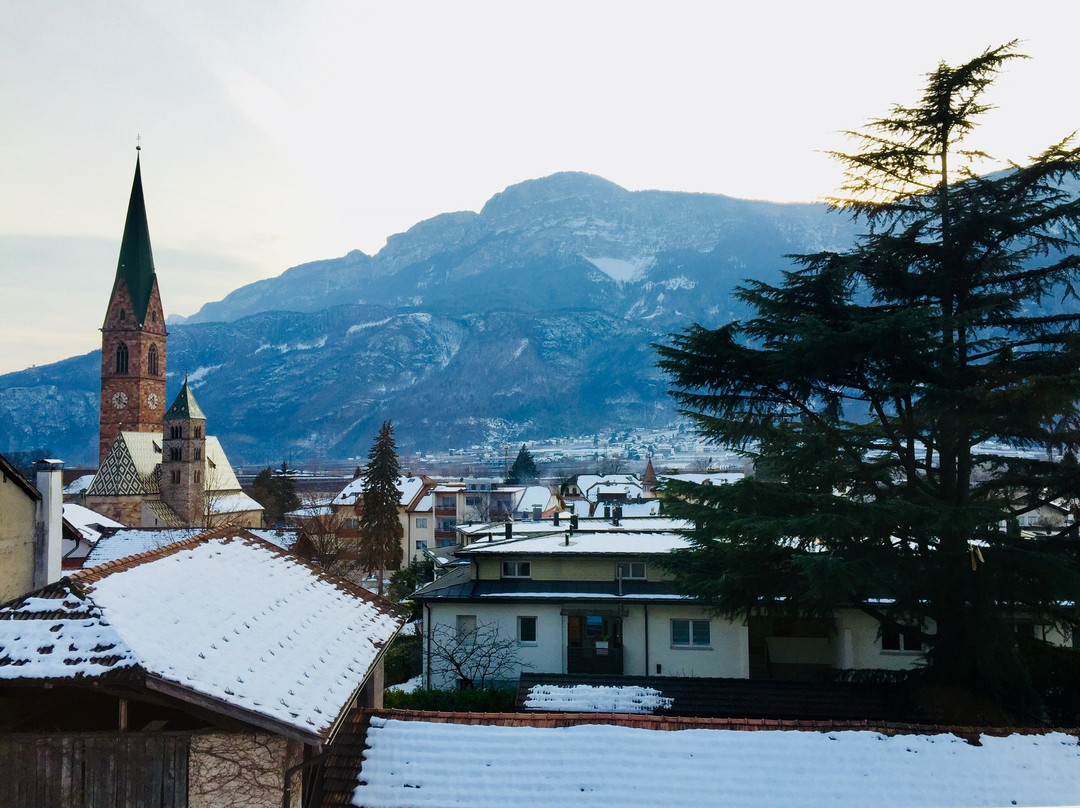 Terlano酒店住宿-Garni Caffè e Gelateria Wieterer