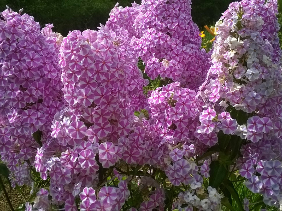 Un jardin à Landrevarzec-Landrevarzec必去景点
