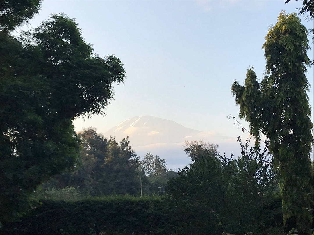 More Than A Drop Hotel主图