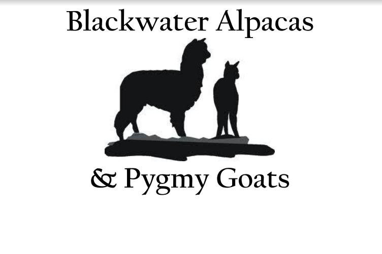 Blackwater Alpacas & Pygmy Goats景点图片