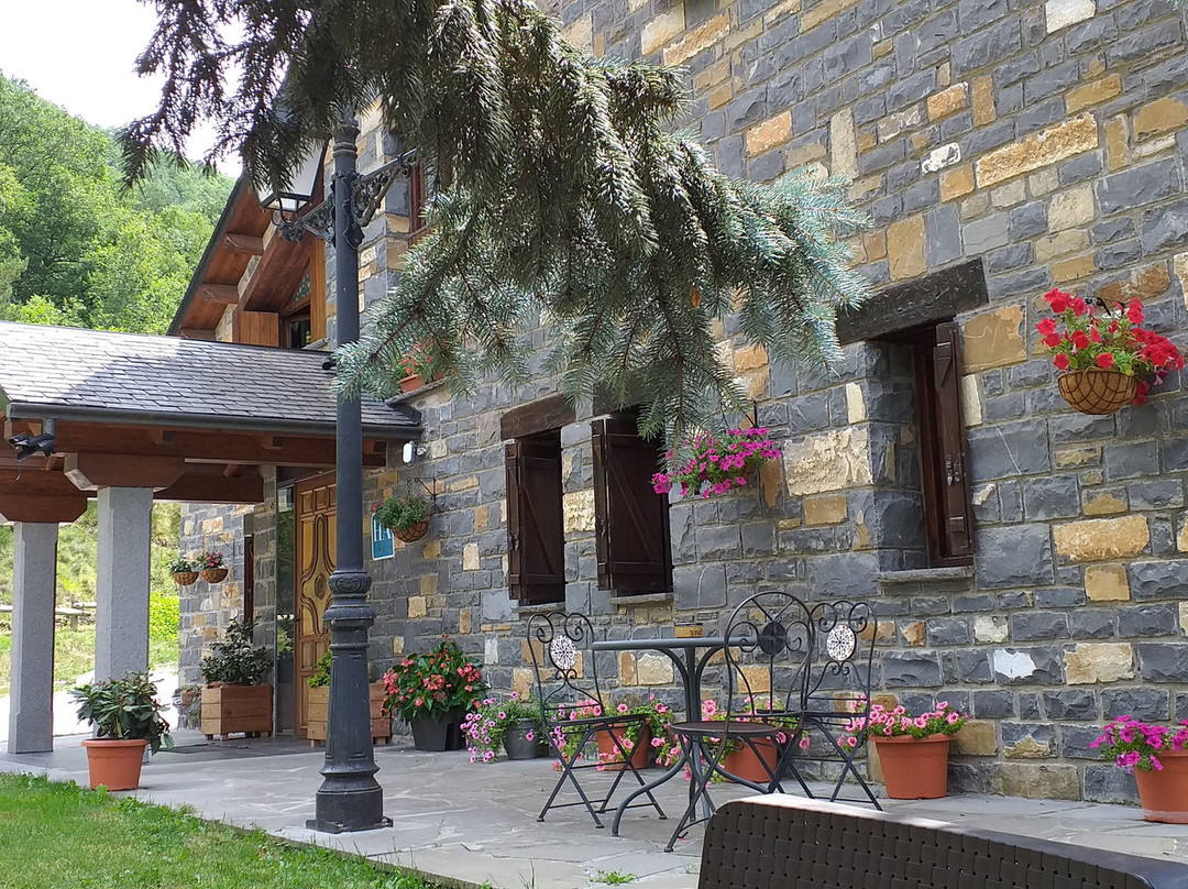 Hotel Vina Olivan主图