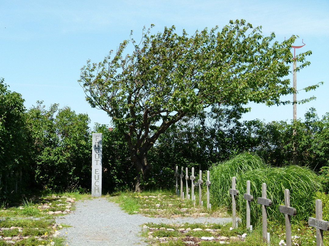 Friedhof der Namenlosen景点图片