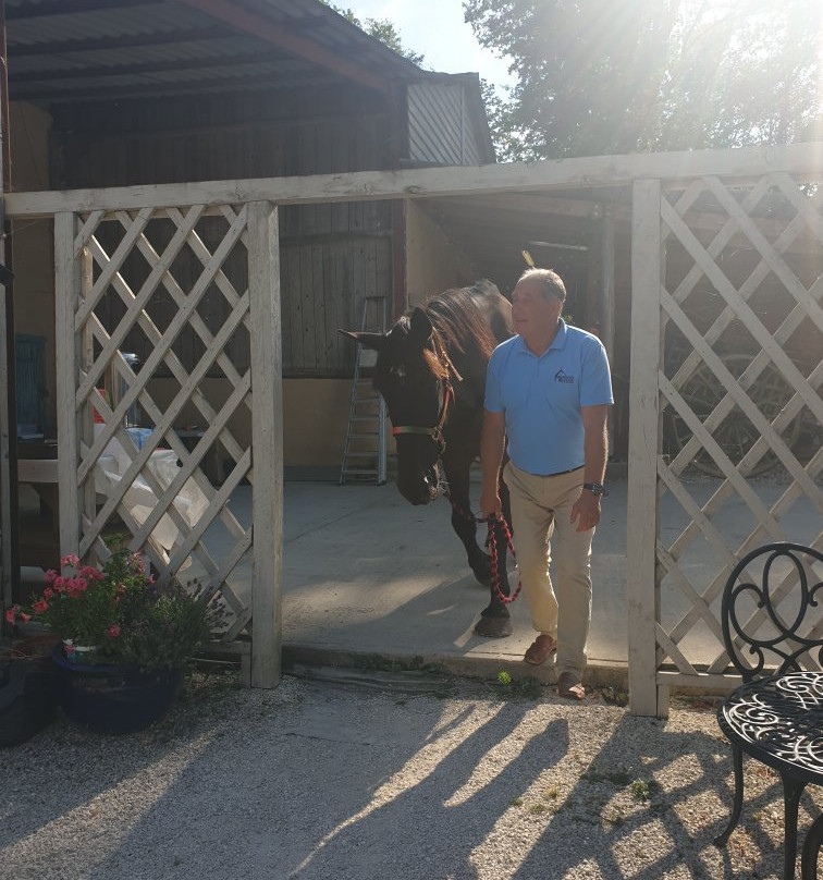 Brantome Police Horses & Friends景点图片