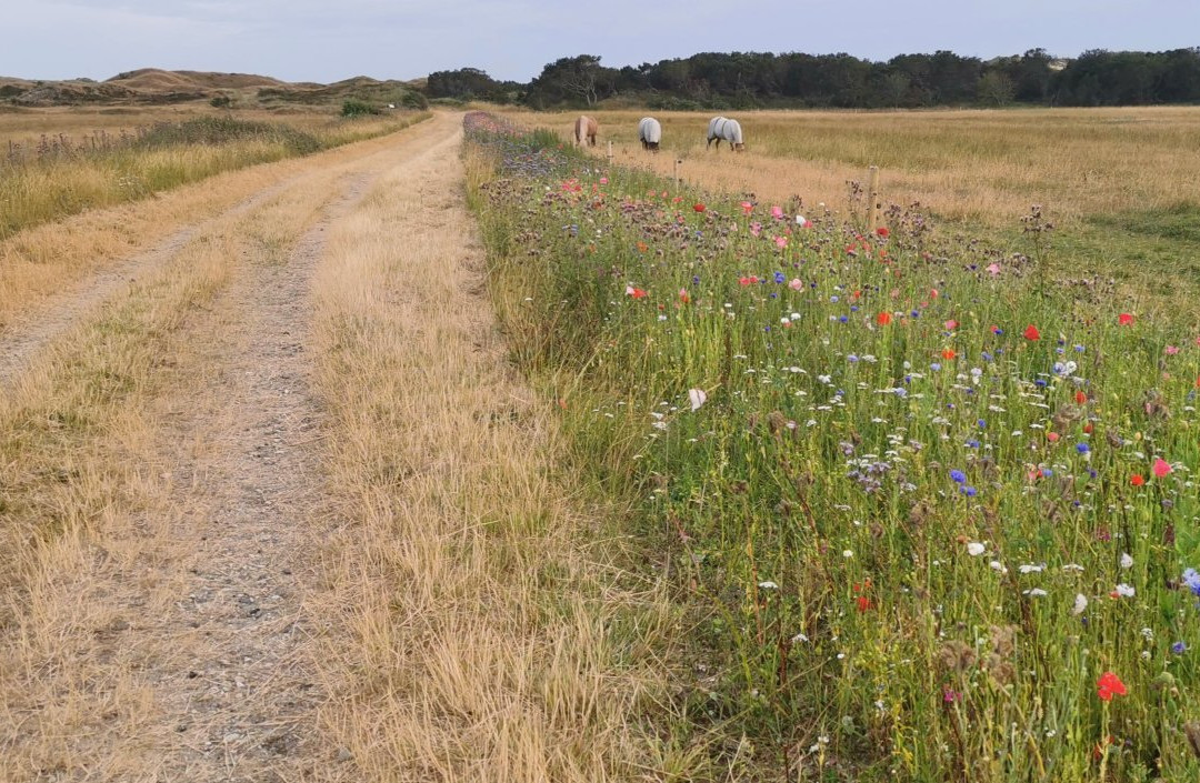 Hjorths & Kokholms 酒店主图