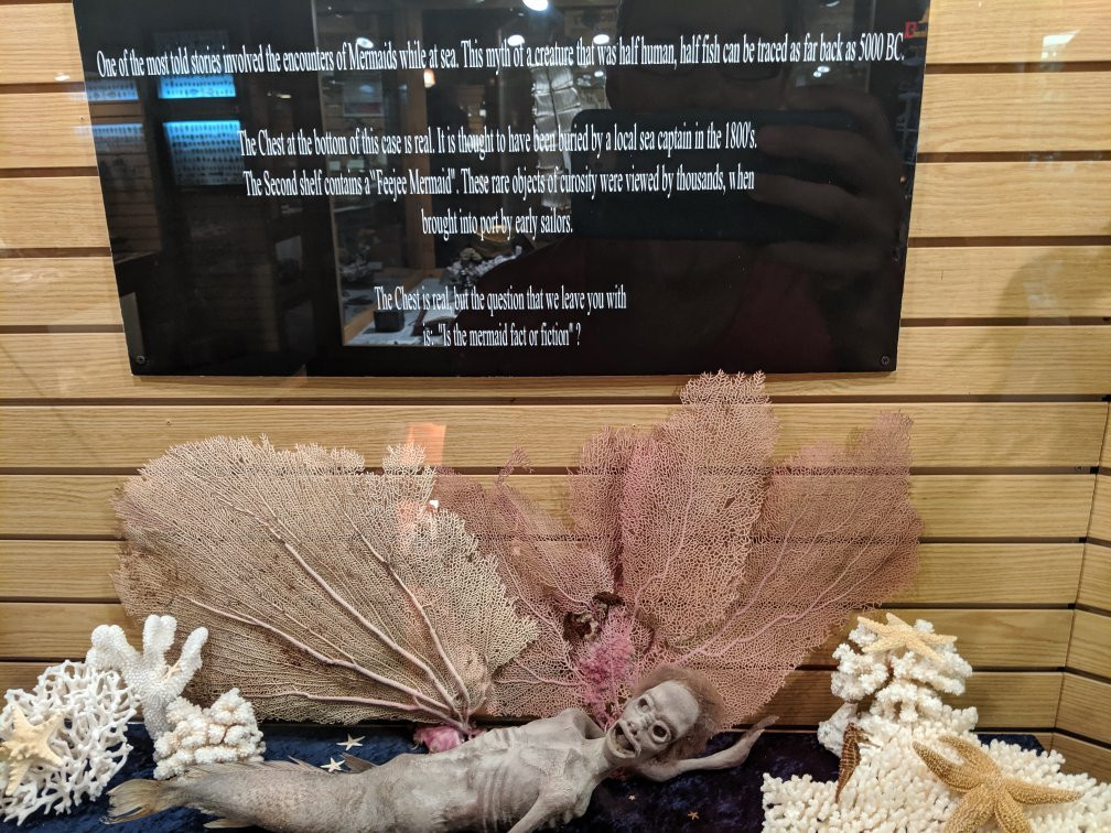 DiscoverSea Shipwreck Museum-Fenwick Island必去景点