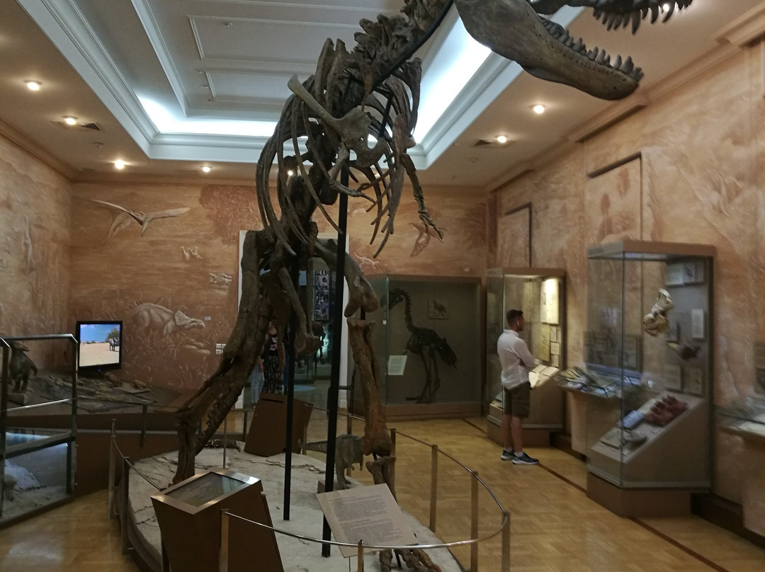 Natural History of Tatarstan Museum-喀山必去景点