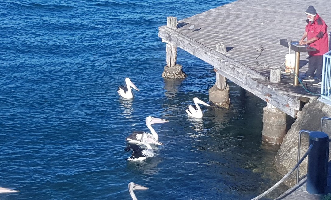 Watermark Resort主图