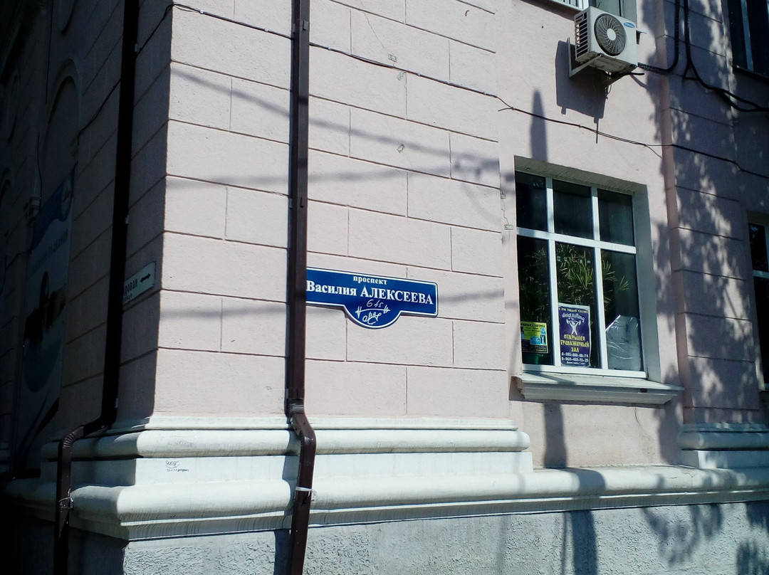 Vasiliy Alekseyev Statue景点图片