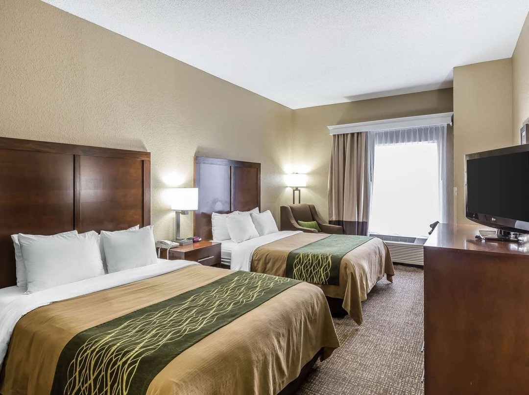 Comfort Inn South主图