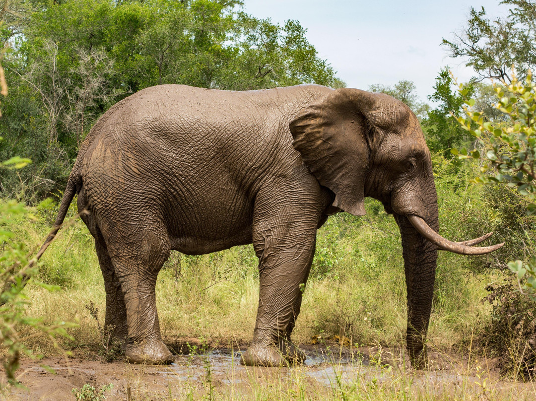 Marula Tours-开普敦中心区必去景点