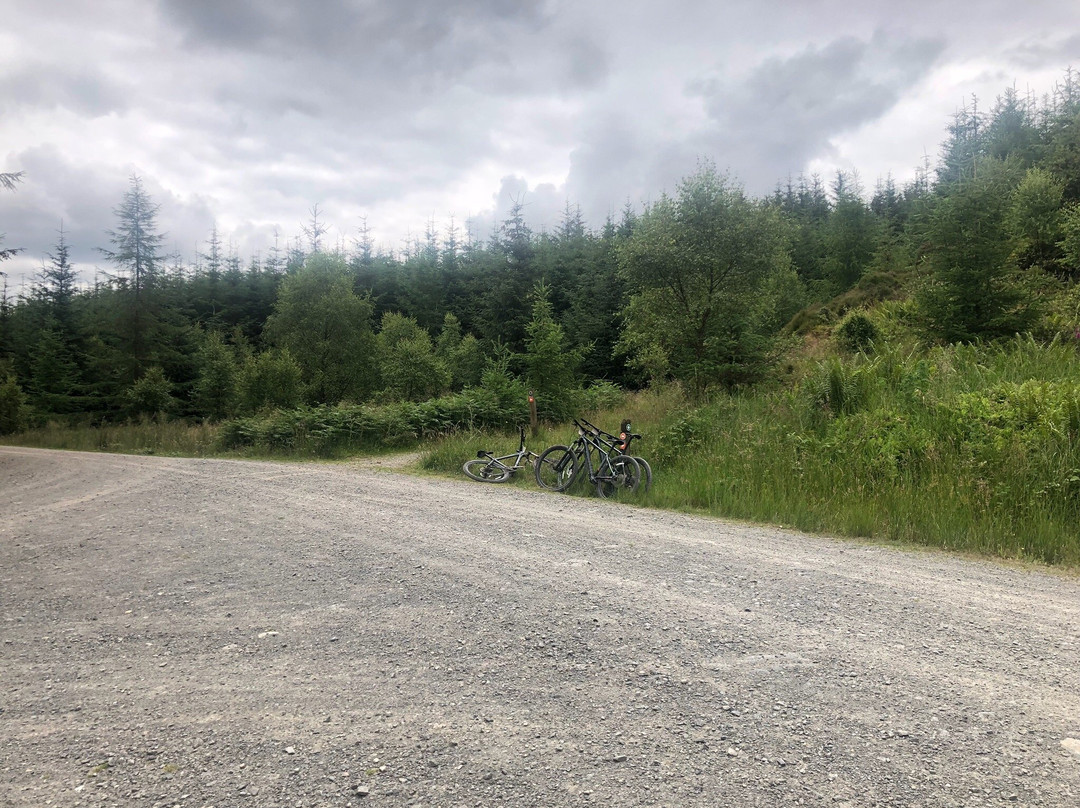 Grizedale Mountain Bikes景点图片