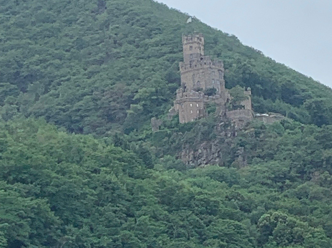 Lorelei Valley Boat Tour-吕德斯海姆必去景点