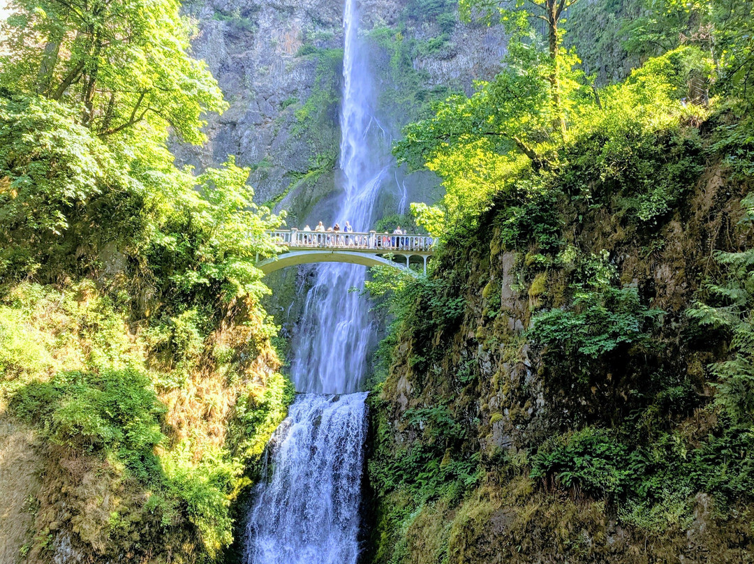 Endless Oregon Tours-波特兰必去景点