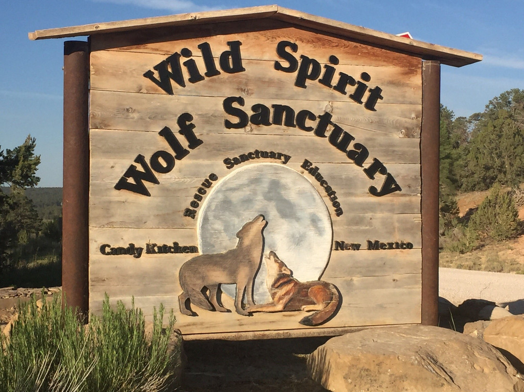 Wild Spirit Wolf Sanctuary景点图片