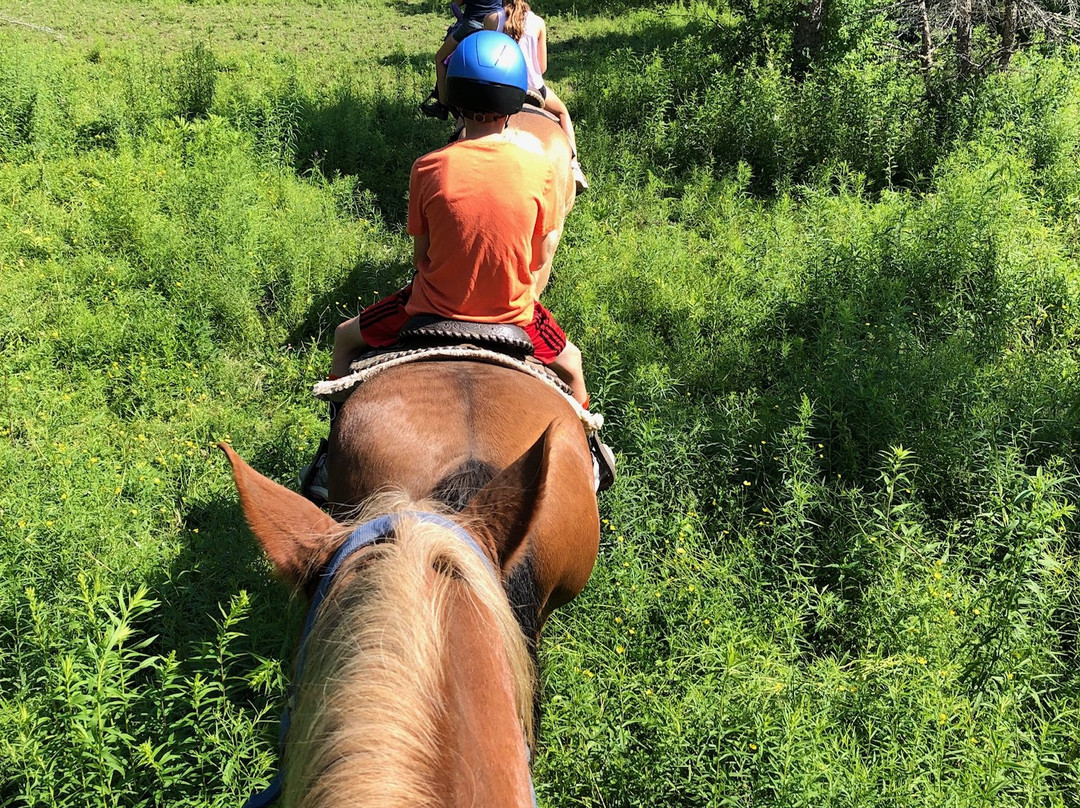 Lajoie Stables-Jeffersonville必去景点