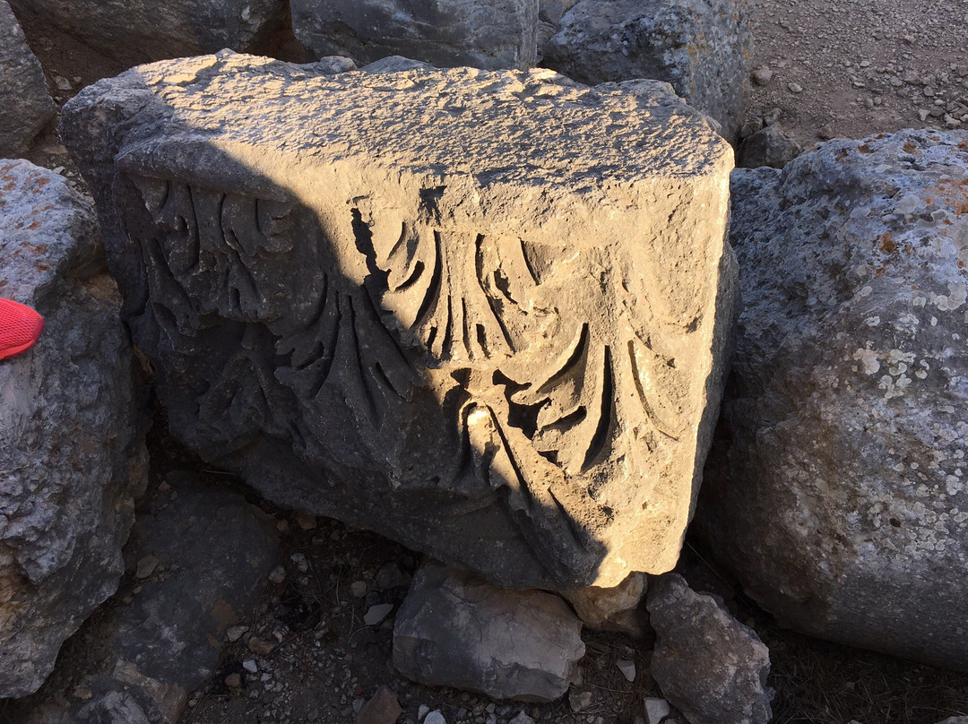 Qasr Naous-Amioun必去景点