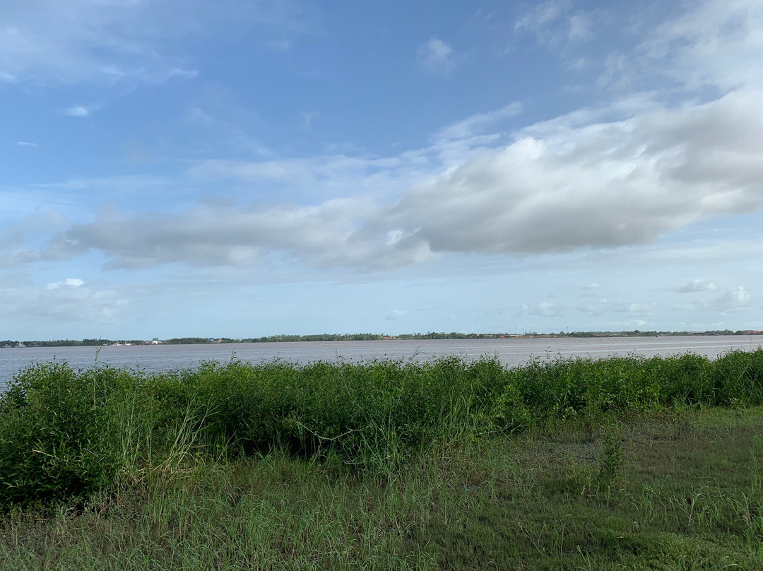 帕拉马里博万怡酒店主图
