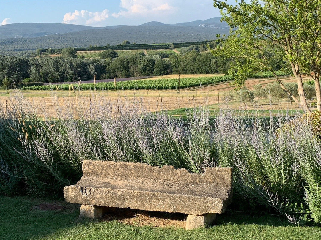 Domaine de Tara景点图片