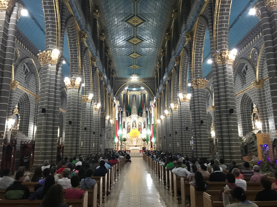 Basilica de la Inmaculada Concepcion景点图片