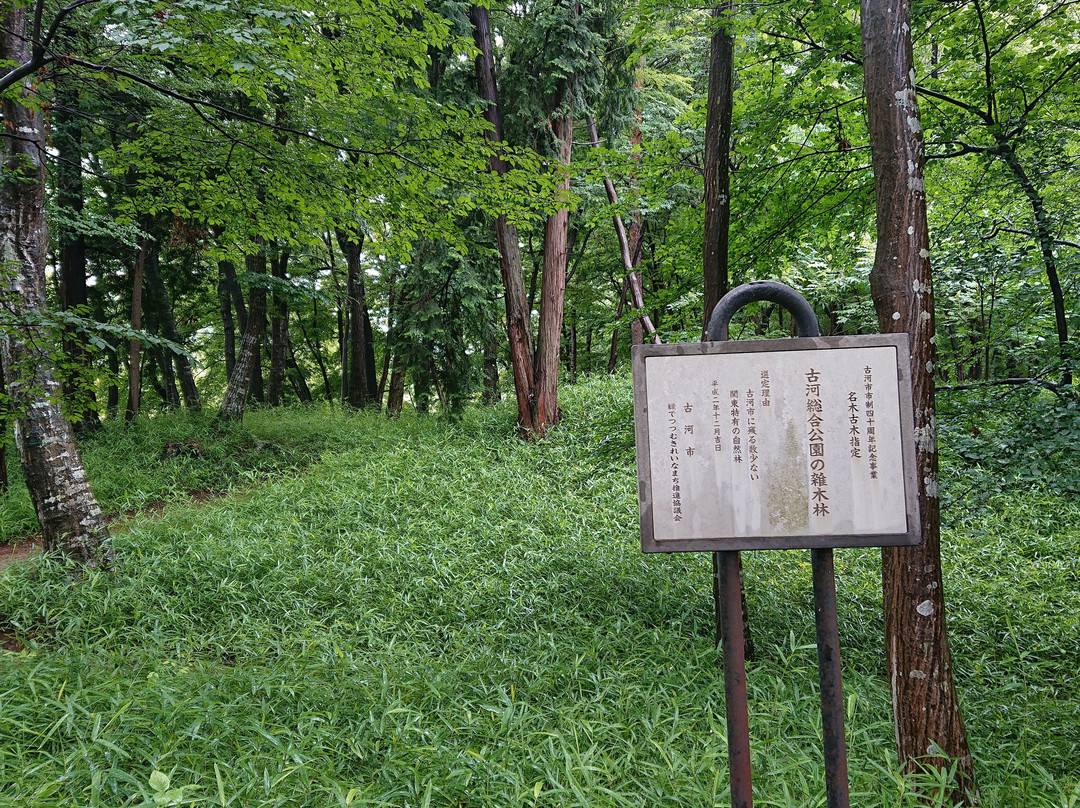 Remains of Kogakubo Yakata景点图片