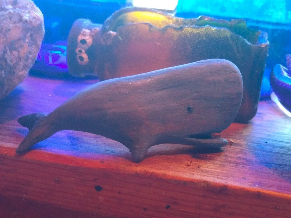 Andrea Brand Gallery-Phippsburg必去景点