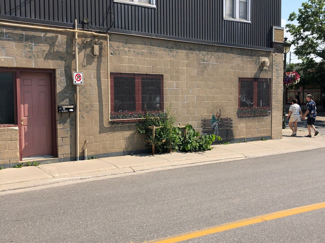 Downtown Murals-Carleton Place必去景点