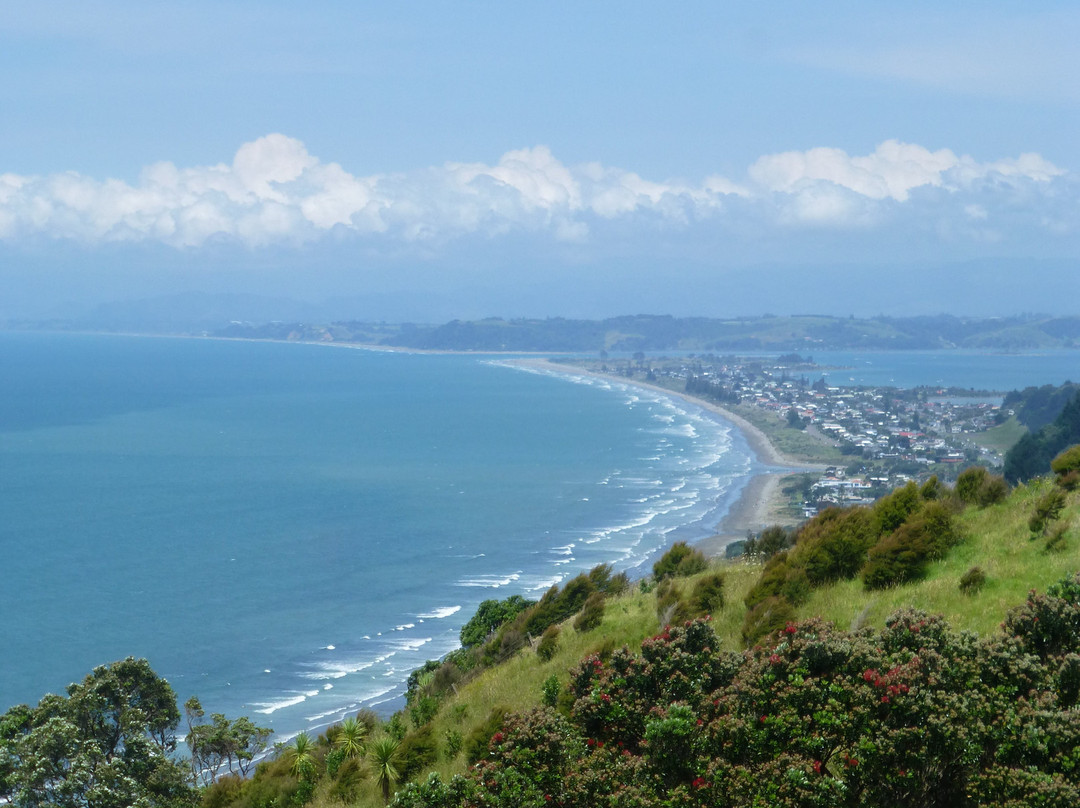 Kohi Point Lookout景点图片