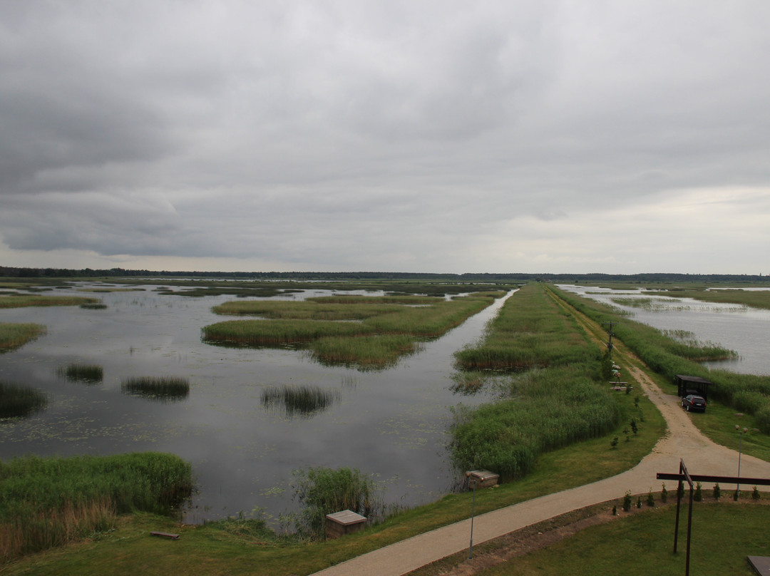 Lake Lubans