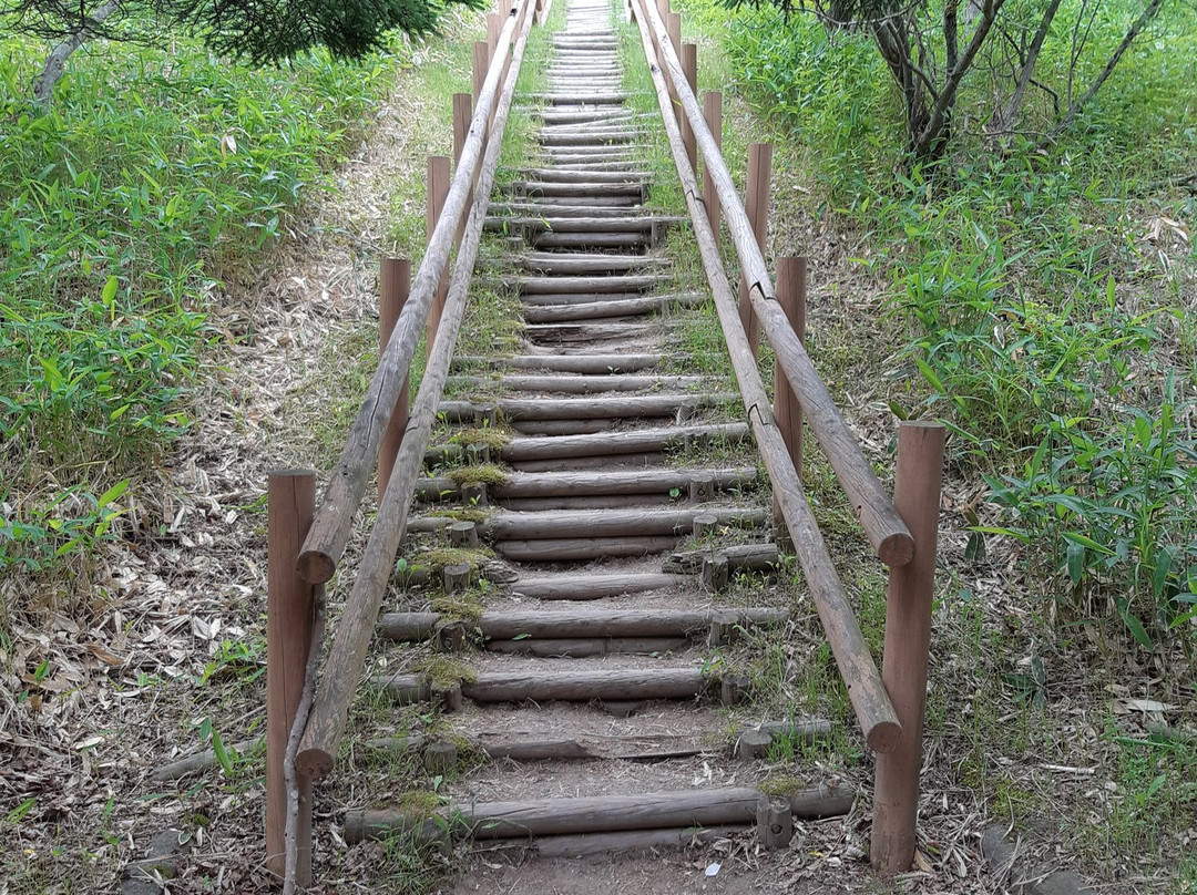 Kottaro Swamp Observatory-标茶町必去景点