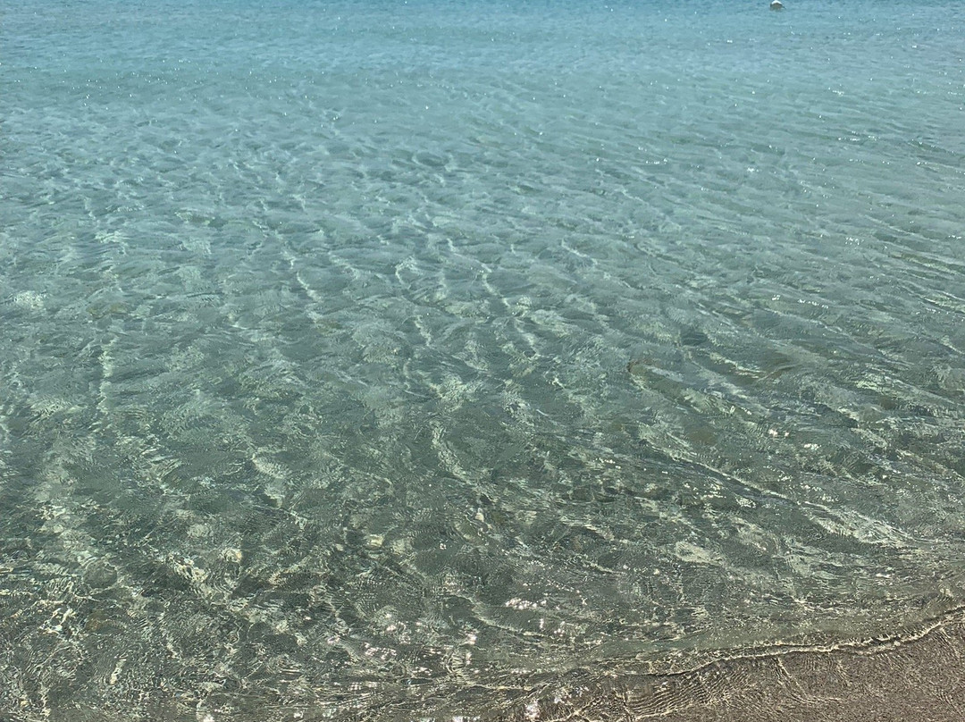 Spiaggia Bacino Grande景点图片