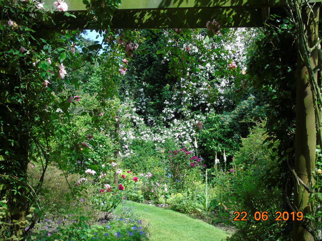 Goltho Gardens景点图片