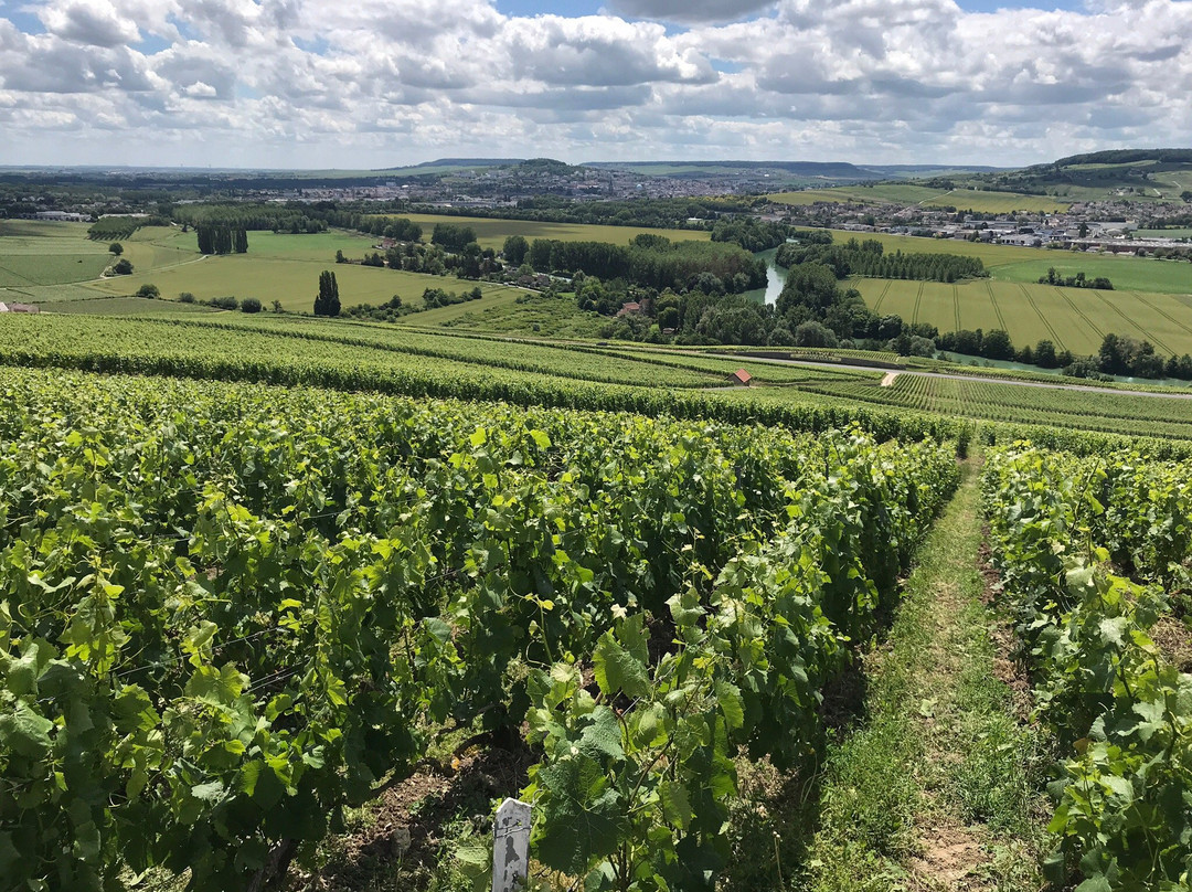 Le Clos des Terres Soudees主图