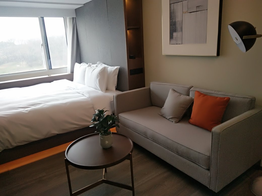 徐庄苏宁雅悦酒店主图