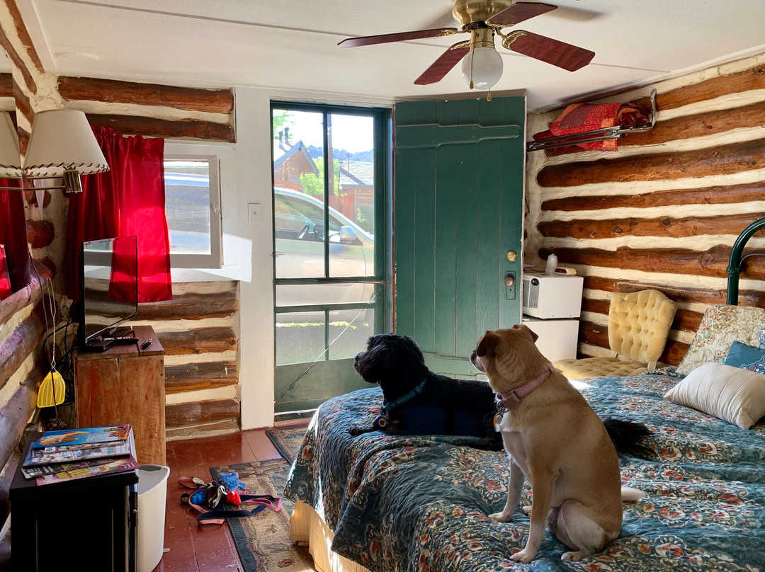 Historic Log Cabin Motel主图