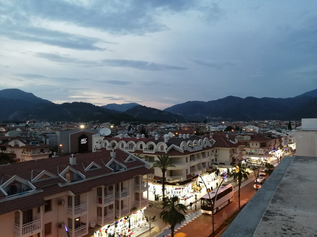 阿尔梅纳酒店主图