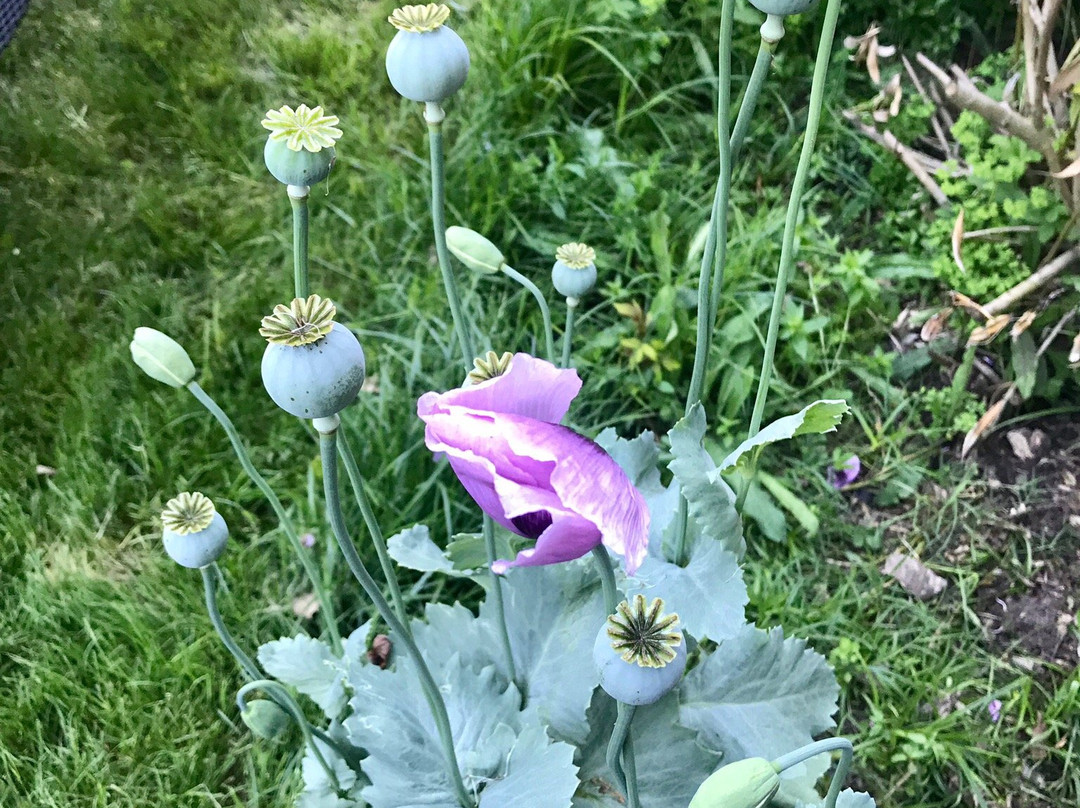 Château Latour Ségur Suites & Spa主图