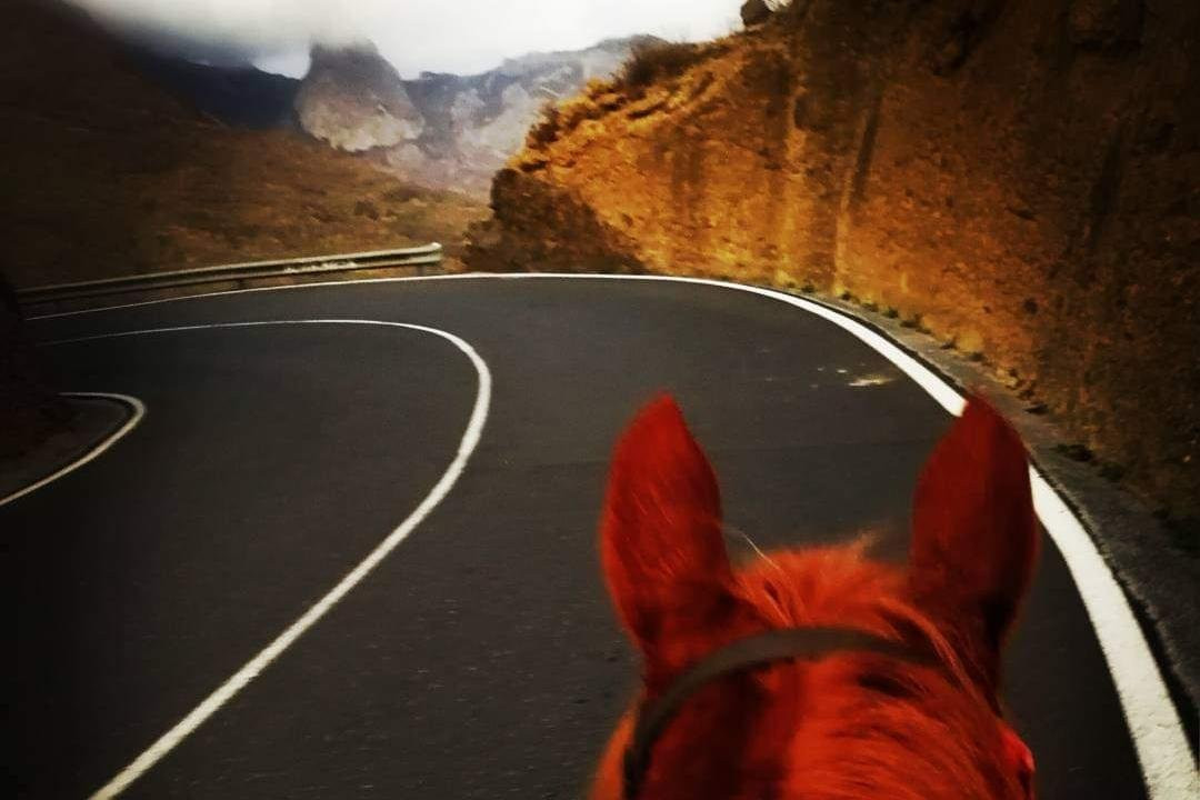 Club Deportivo Mustang'S La Gomera-阿拉赫罗必去景点