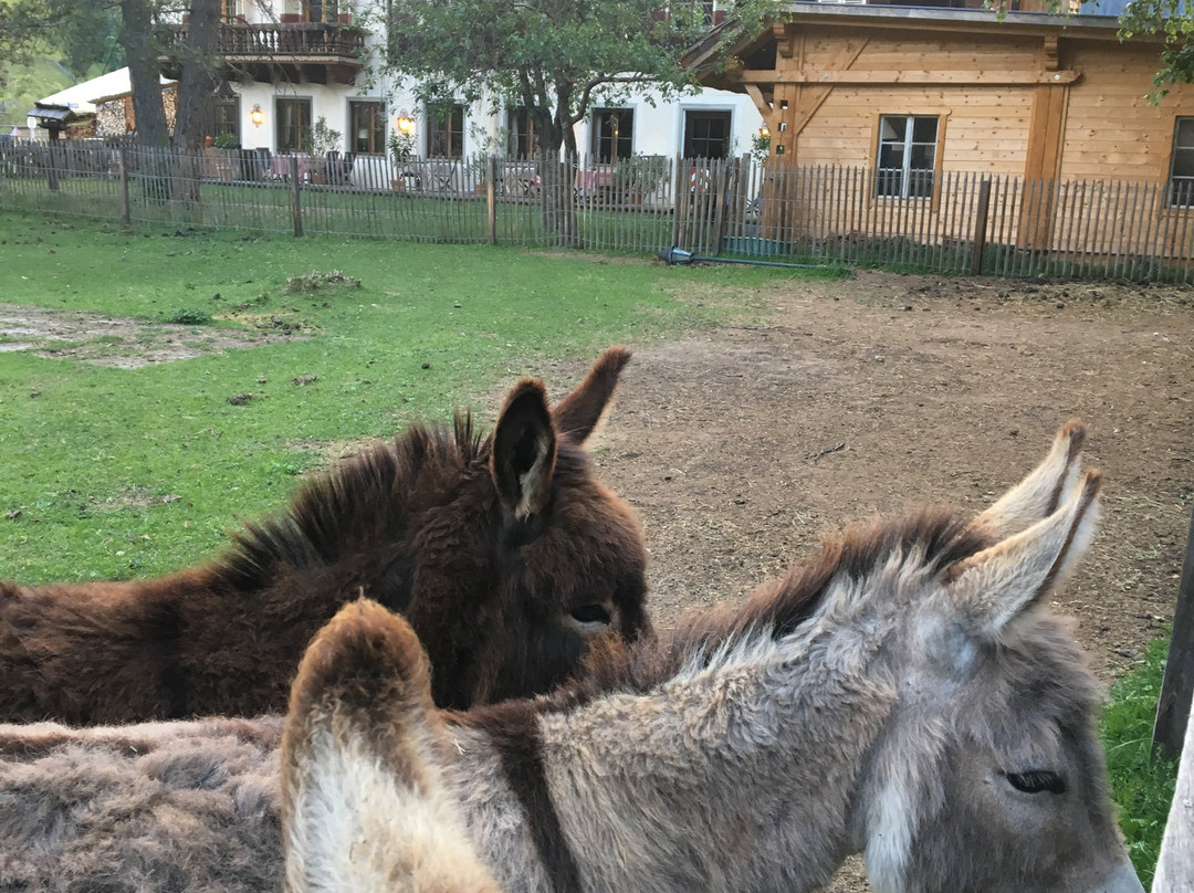 Hotel Schlosswirt主图