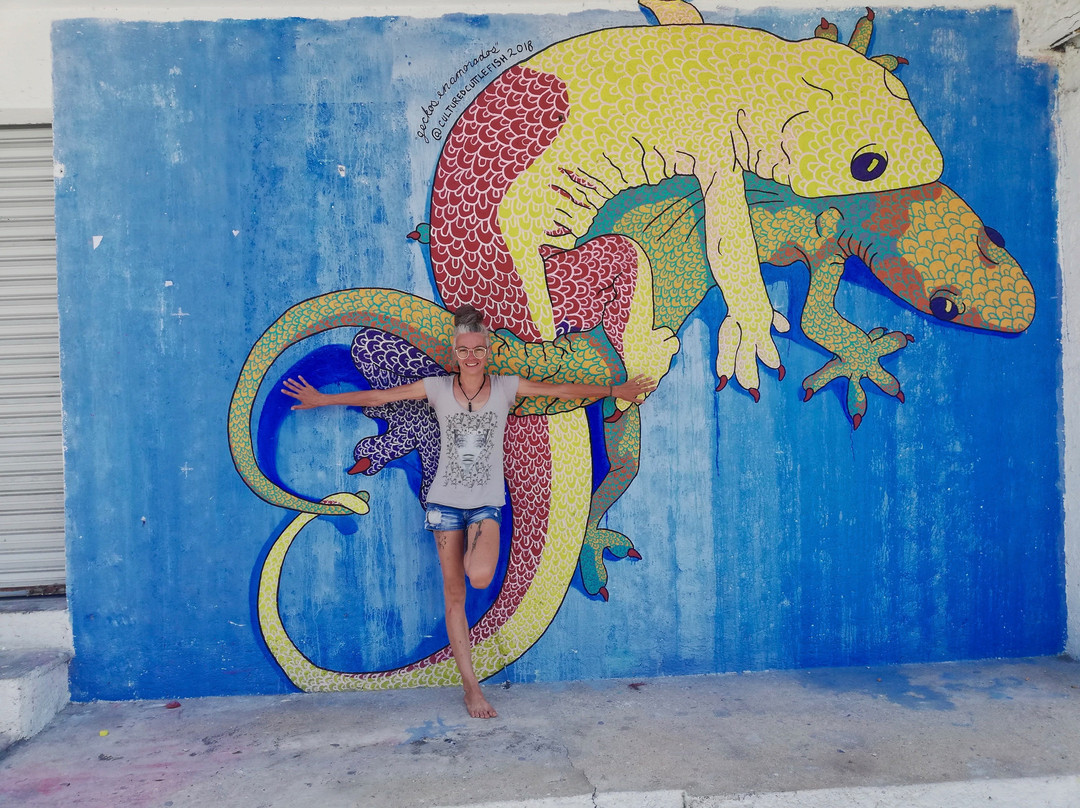 Mayan Immersion景点图片