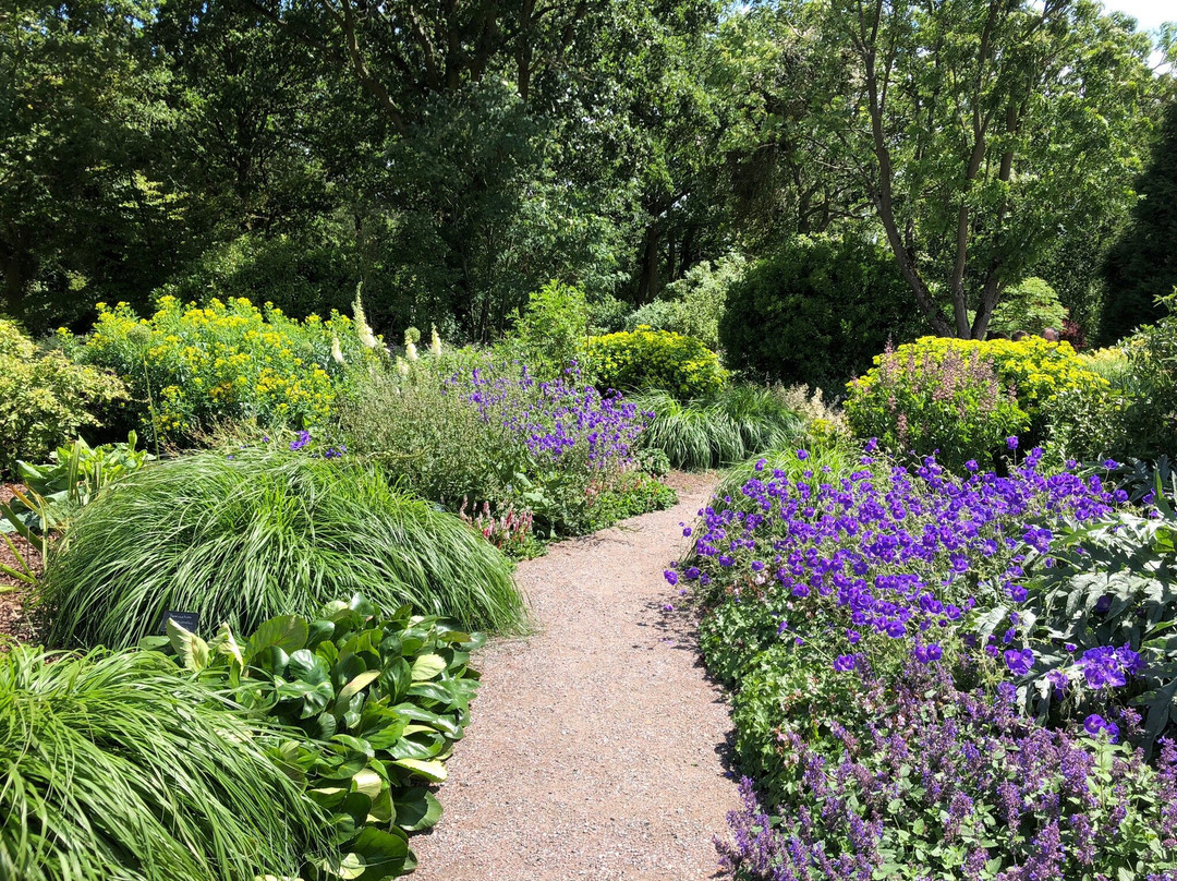 Beth Chatto's Plants & Gardens景点图片