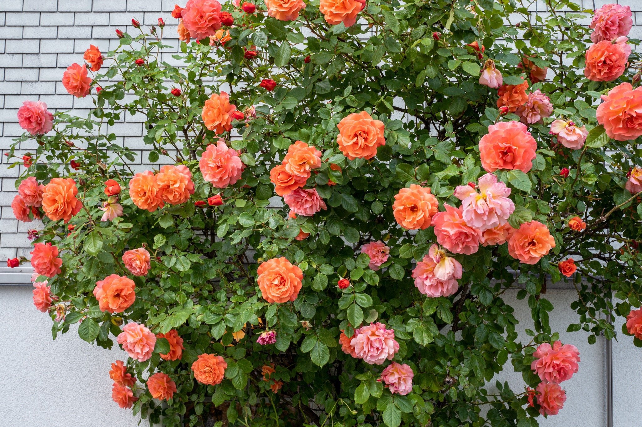 Am Brunnen bed & breakfast-官方