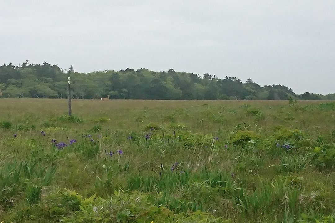 Ochiishi Seaside Way Hamamatsu Path-根室市必去景点